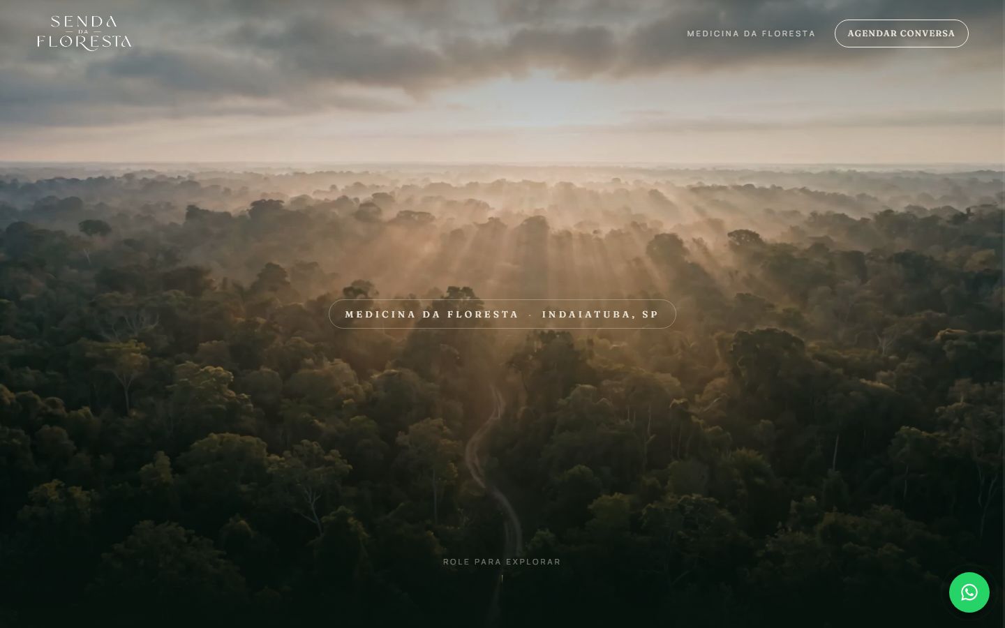 Primeira dobra do site Senda da Floresta